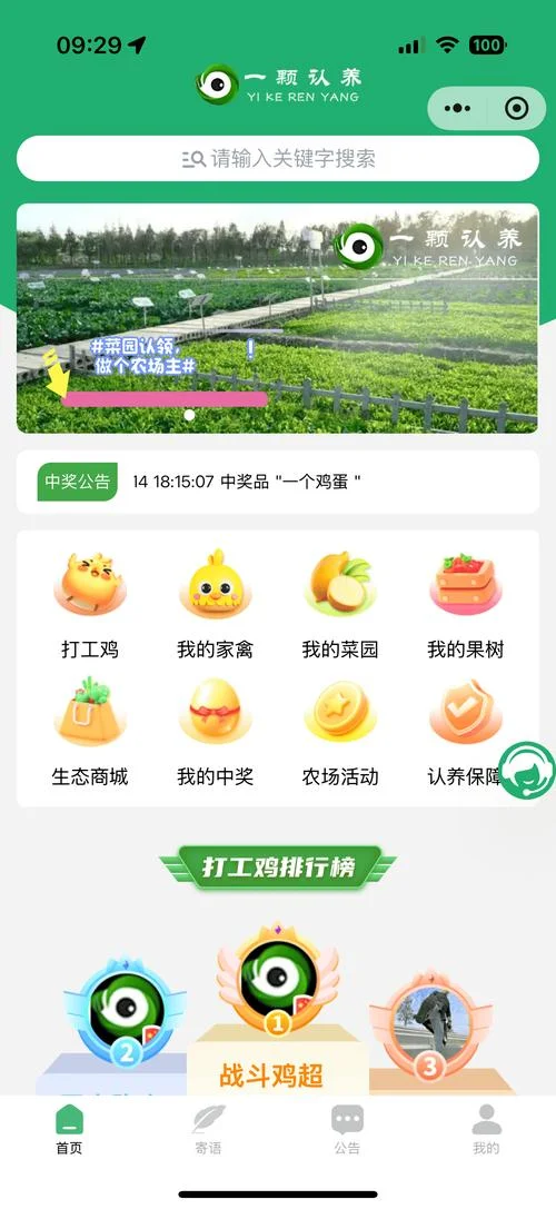 养猪app什么意思-养猪 APP 含义解析