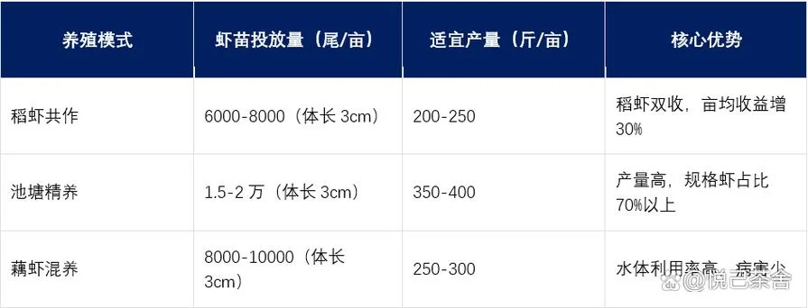 一亩养殖多少龙虾-一亩养多少龙虾