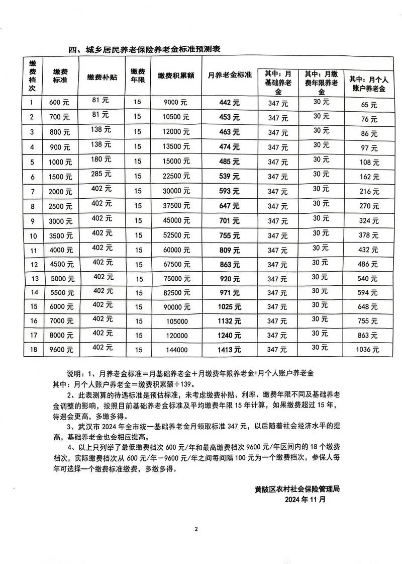 农村养老保险是从哪年开始的_1