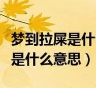 做梦梦到拉屎而且弄的到处都是_1