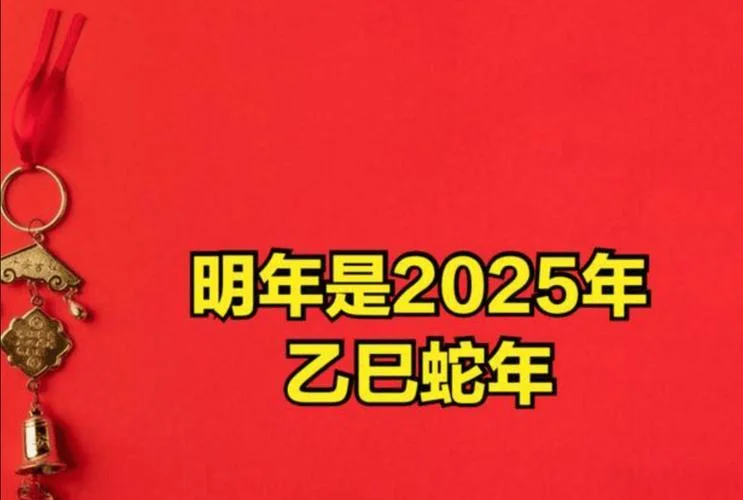 下一个蛇年是哪年_2