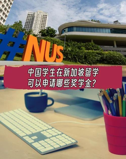 新加坡中学留学条件-