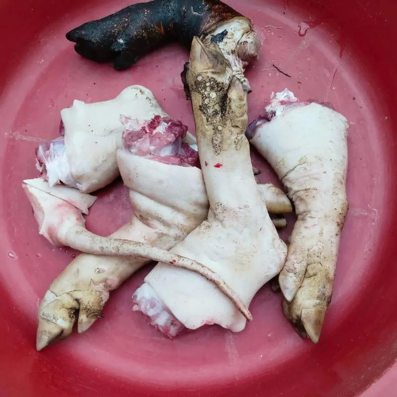 梦到别人送猪肉给我_1