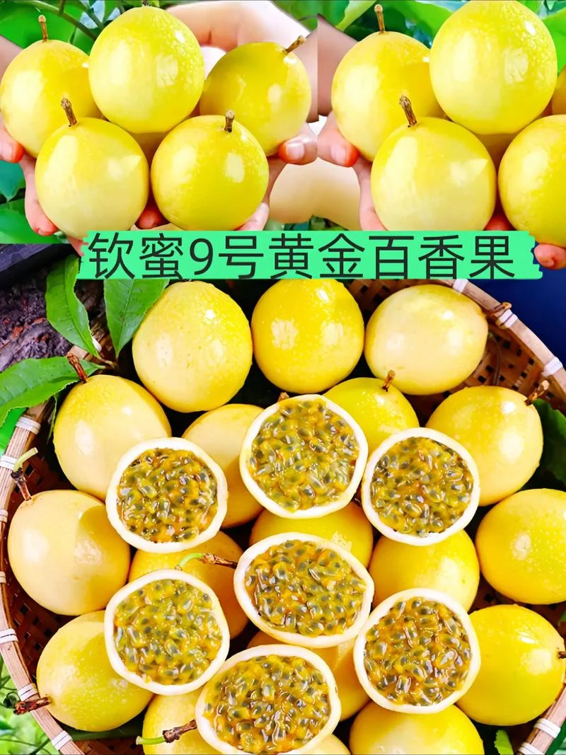 百香果一个多少钱-百香果价格查询