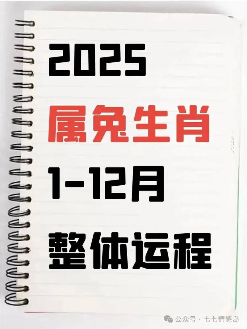 2020属兔的运势全年_1