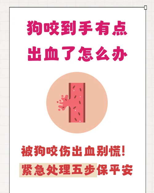 梦到被狗咬手出血了是什么预兆-狗咬流血预示厄运