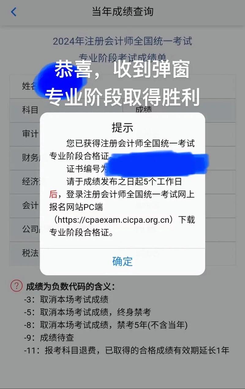 2019年注会成绩-2019 年注会成绩