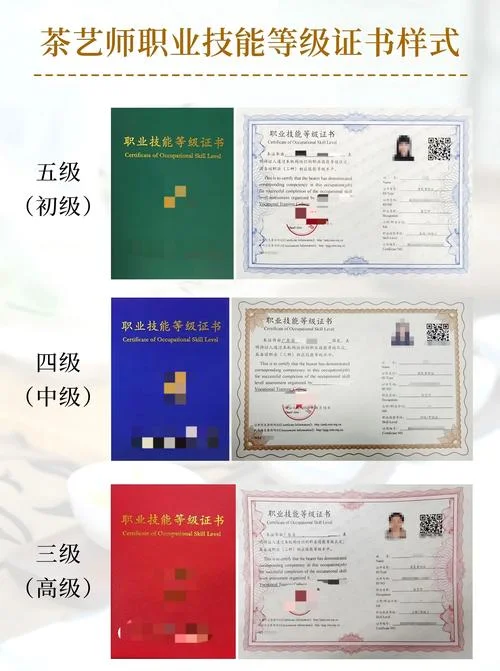 茶艺师考证报名费_1