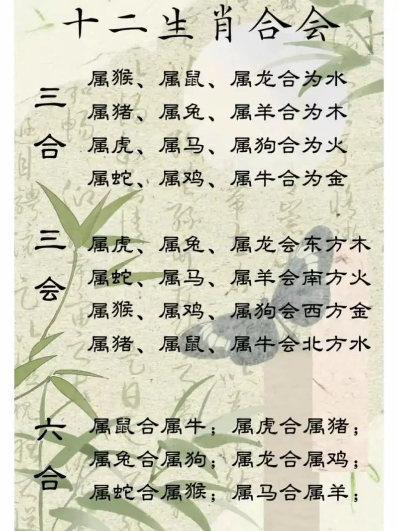属鸡和什么属相不合财_1