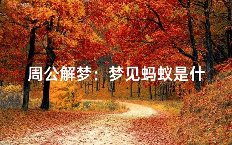 周公解梦梦见好多虫子_1