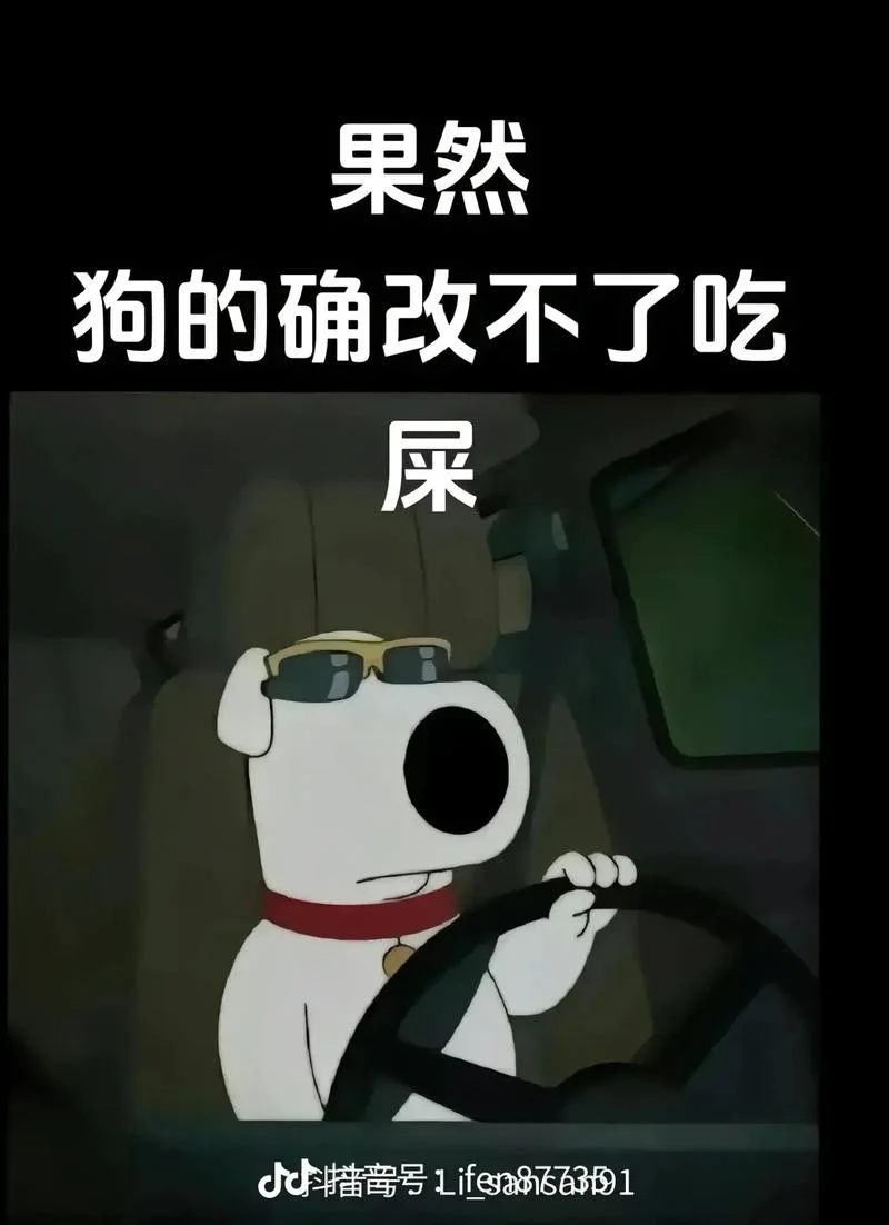 屎拉不出来的搞笑文案_1