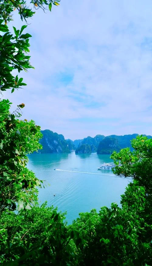 下龙湾旅游攻略一日游_2