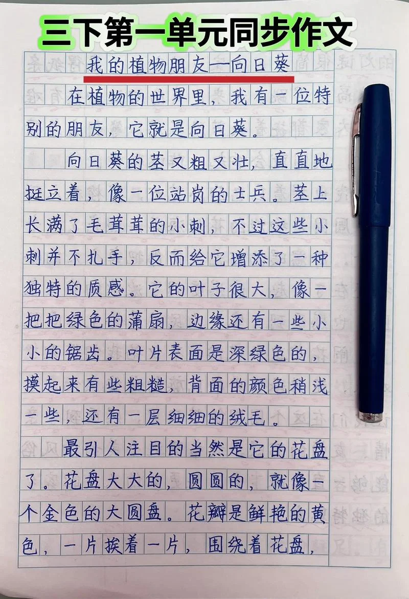 三年级写我的植物朋友作文_2
