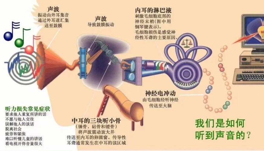 人工耳蜗是什么原理_1