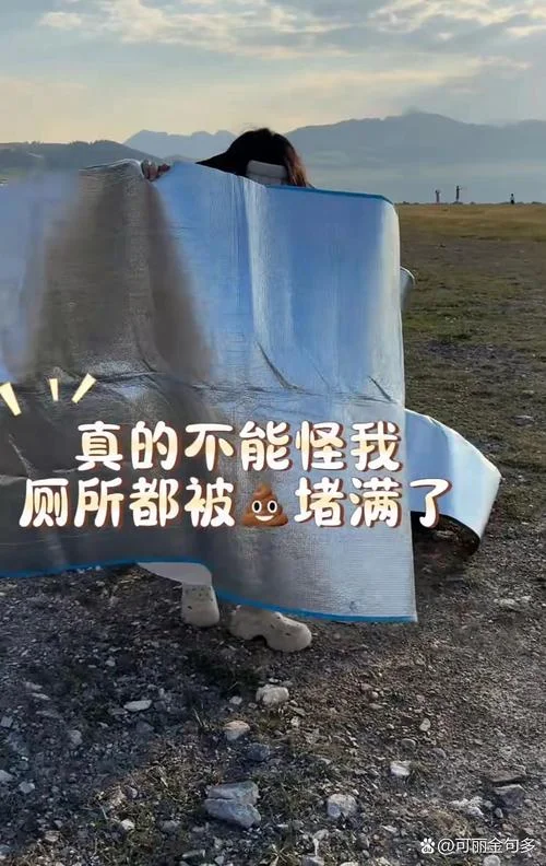 梦见上茅厕粪便满了_2
