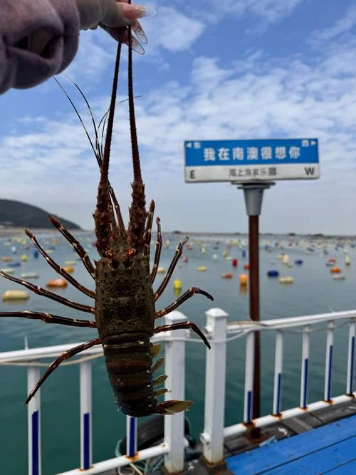 渔民生活_1
