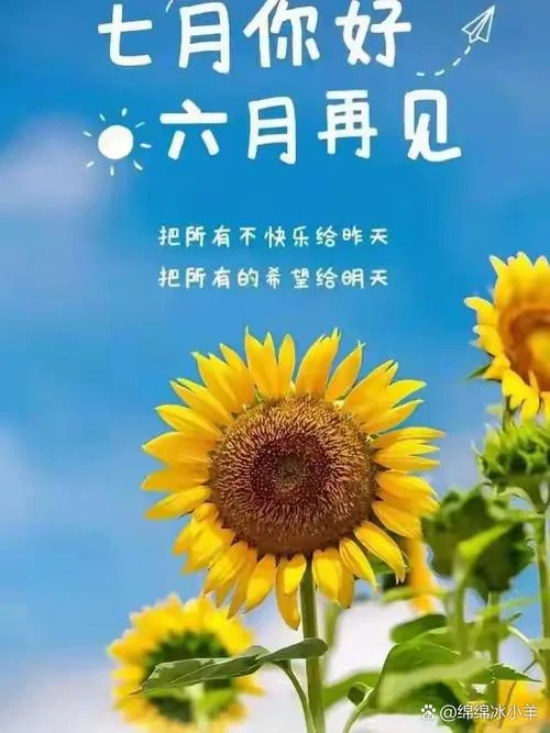 七月再见的说说简短_1