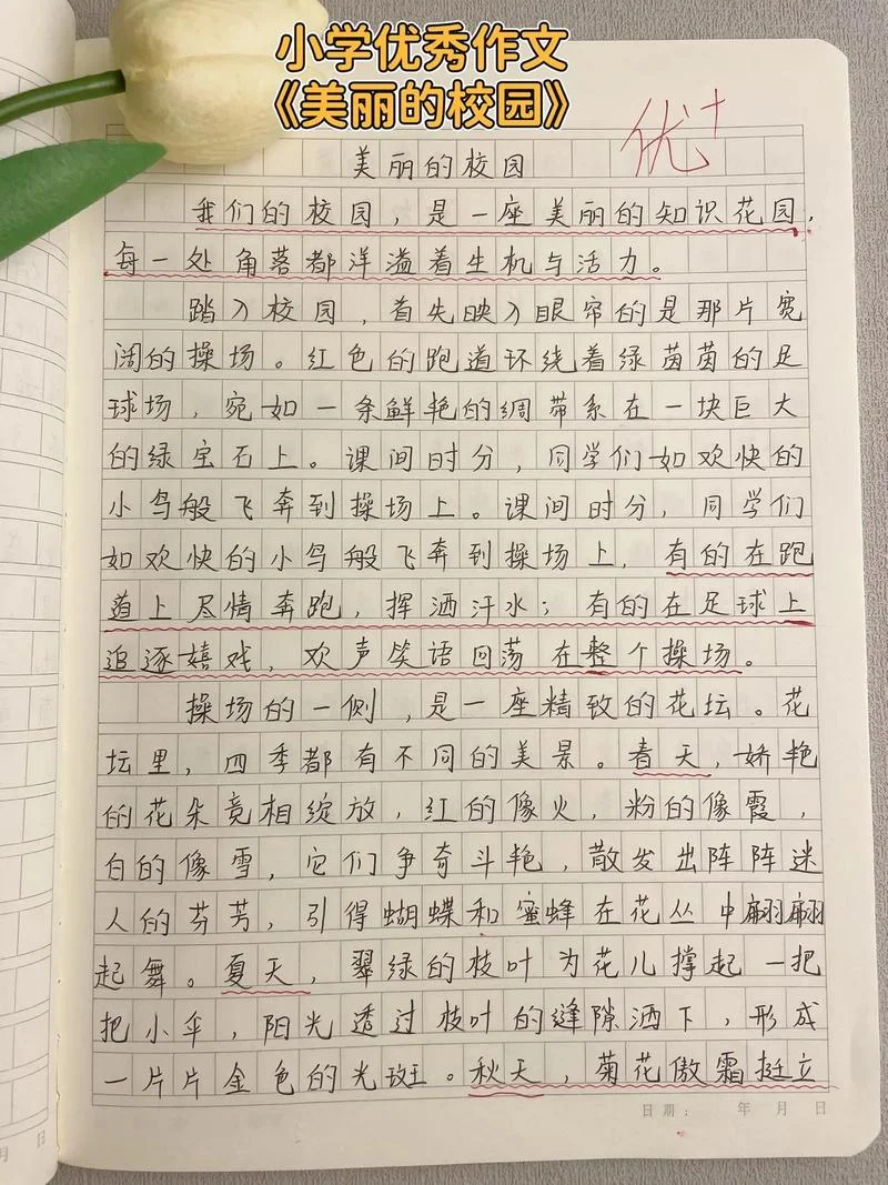 校园美景作文怎么写-校园美景写作指南