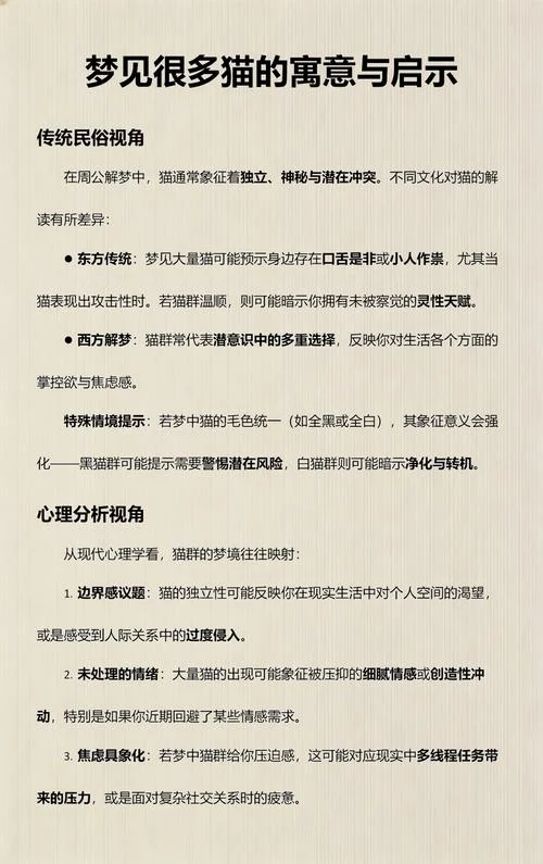 梦见猫说话有意思-梦猫开口妙趣横生