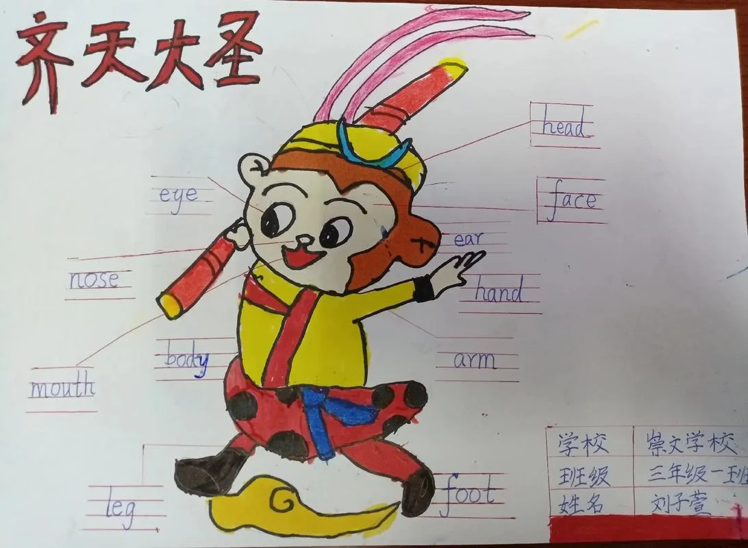 关于身体部位的英语手抄报-身体部位英语手抄报