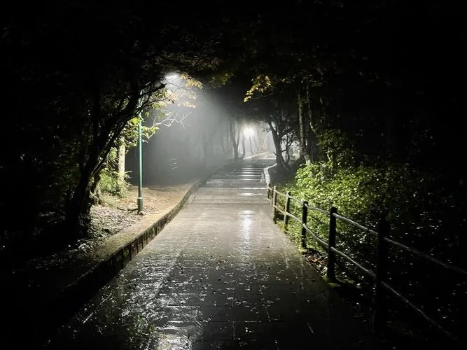梦见天黑看不见路_2