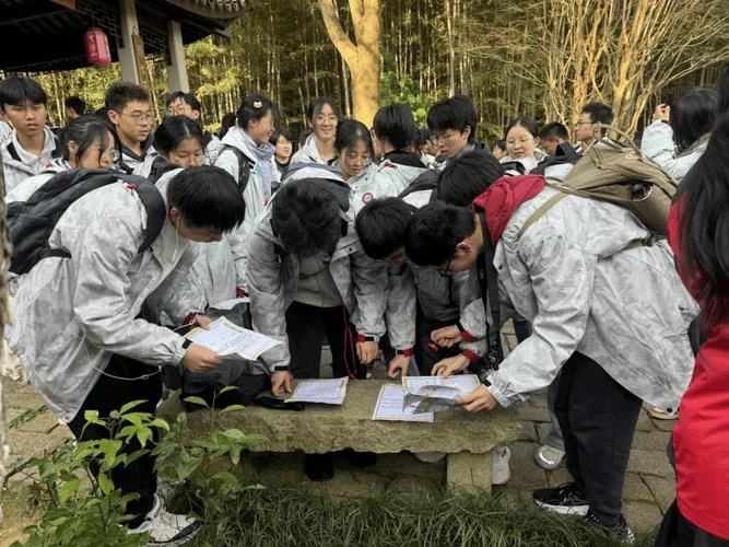 实践课是什么意思_1