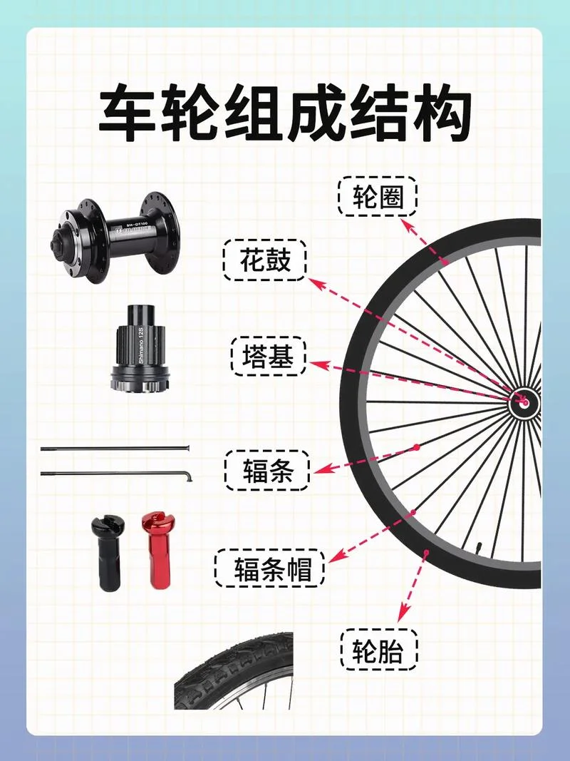 什么轮子是只转不走的-什么轮子只转不走