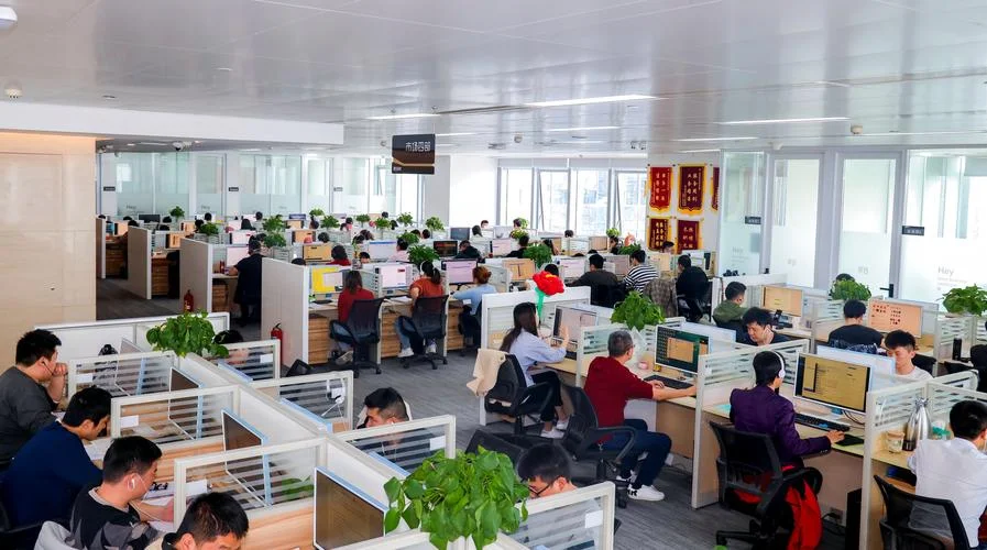 做网络公司做什么好_1