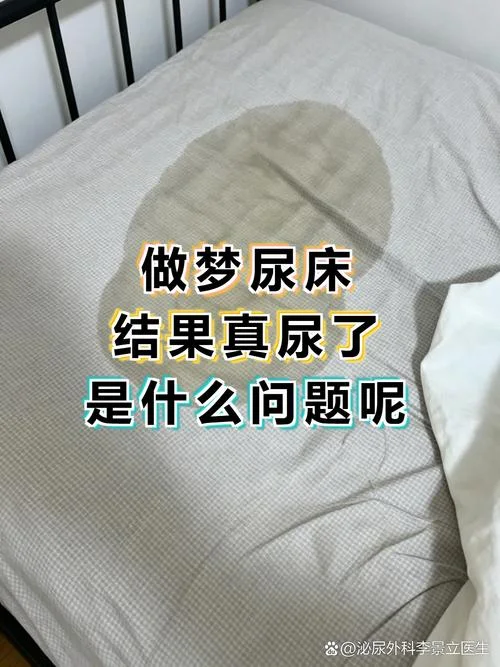 产后做梦尿床怎么办_1