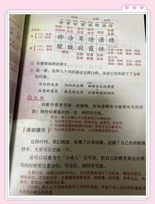 白桦的作者是谁视频_2