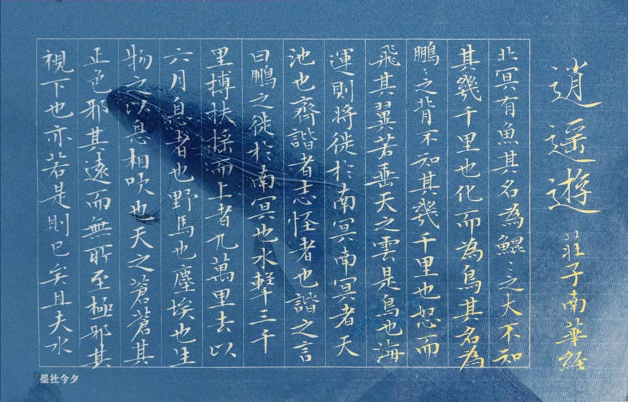 逍遥游出自_2
