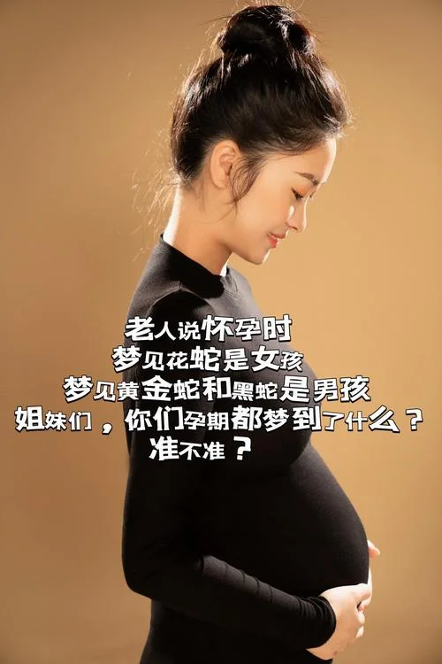 老婆梦到自己怀孕了什么意思_2