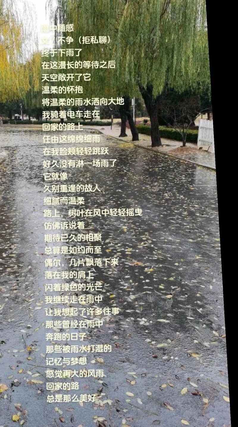 雨后人生感悟-雨后新生