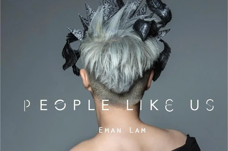 people like us什么意思_2
