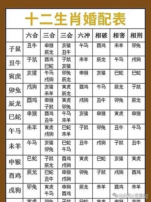 十二生肖属相配对指南-生肖配对配对指南