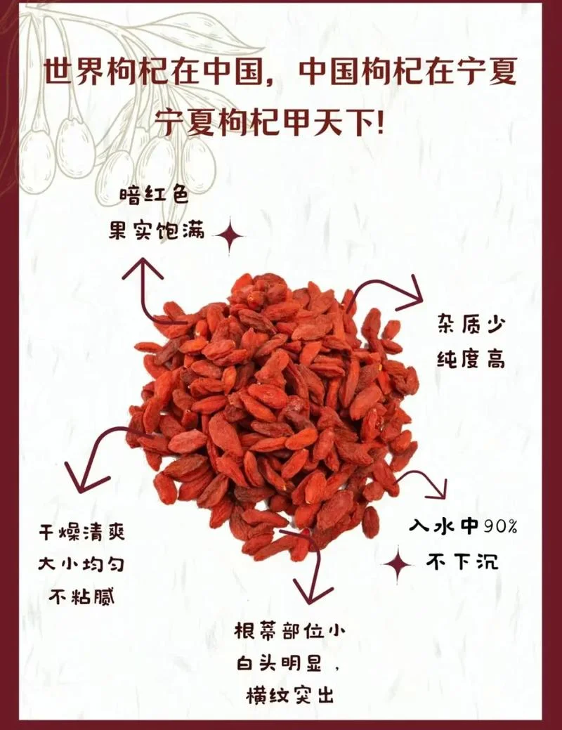 枸杞十大品牌排行榜-枸杞十大品牌榜