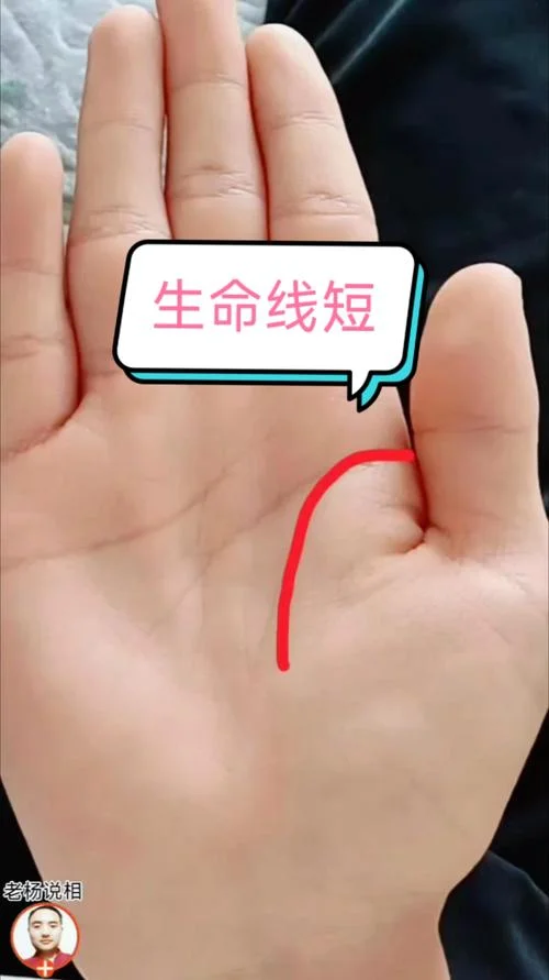 手相看寿命长短准吗_1