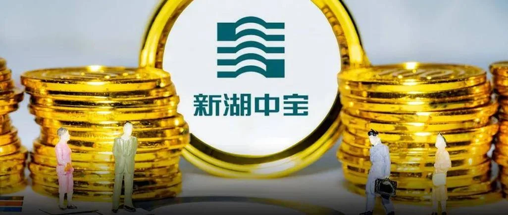 新湖中宝是做什么的-新湖中宝是做什么的