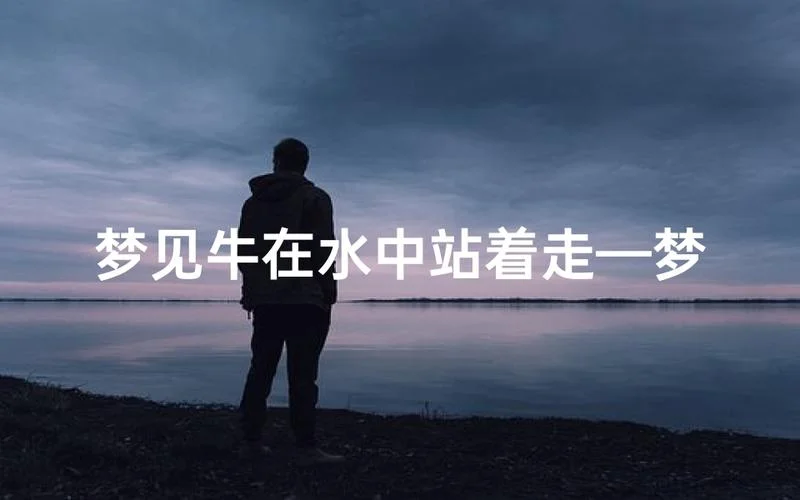 梦见在水中走是什么意思_1