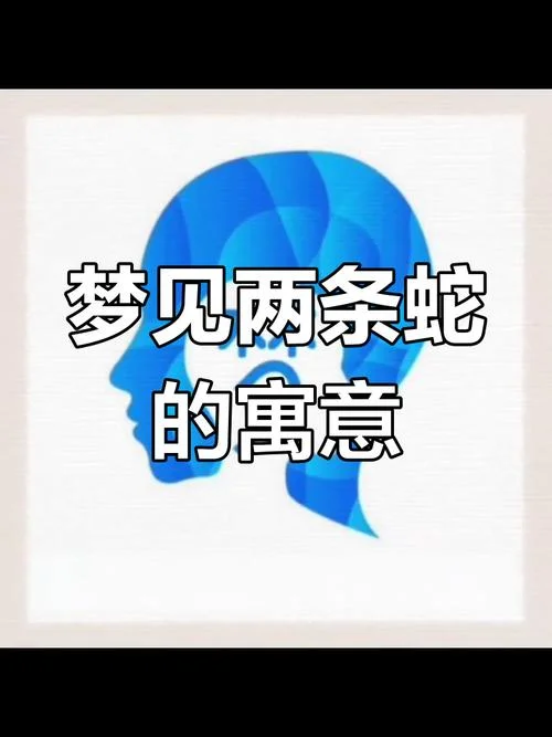 给自己解梦梦见蛇_1