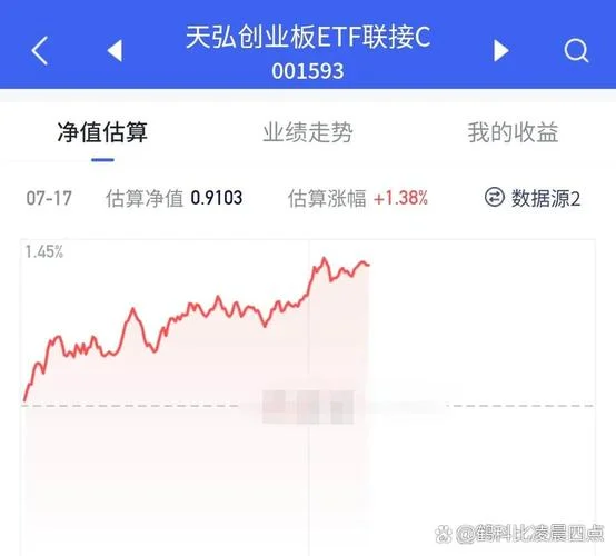 如何查创业板基金净值_1