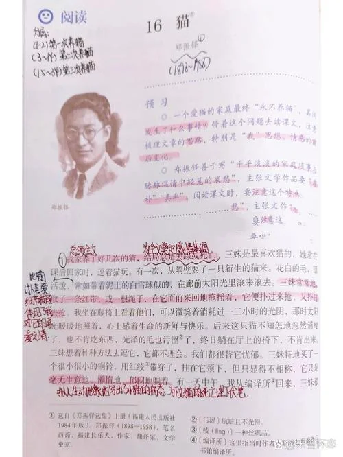 朝花夕拾读书笔记猫-早收晚采猫笔记