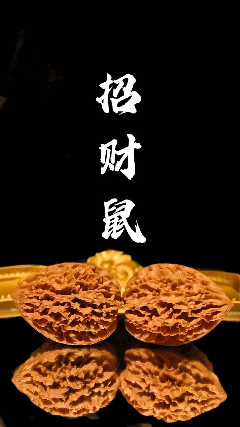 1972属鼠是吗命做什么生意好-1972 年鼠命宜经商