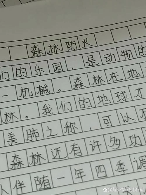 祭火神日记怎么写_1