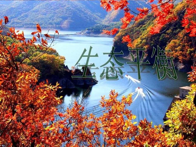 生态平衡_1