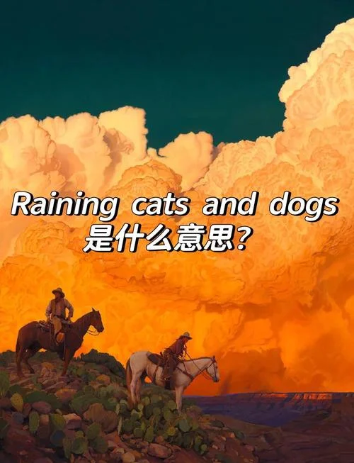多雨的英文怎么写_1