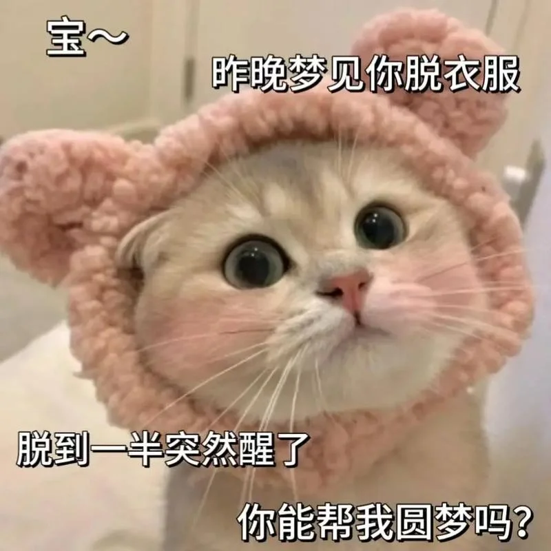 我昨晚梦见你了神回复_2