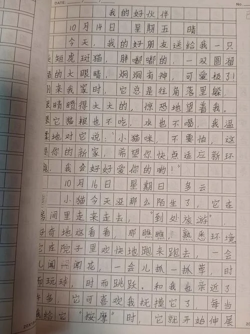 四年级上册第三单元写作文-四年级上册第三单元作文写作