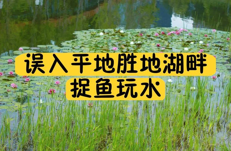 梦到捉鱼_2