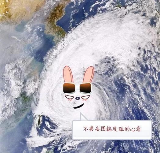 玉兔台风是哪一年的_2